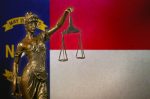 Appeals court rules felony offenders can’t be prosecuted for voting unlawfully by mistake