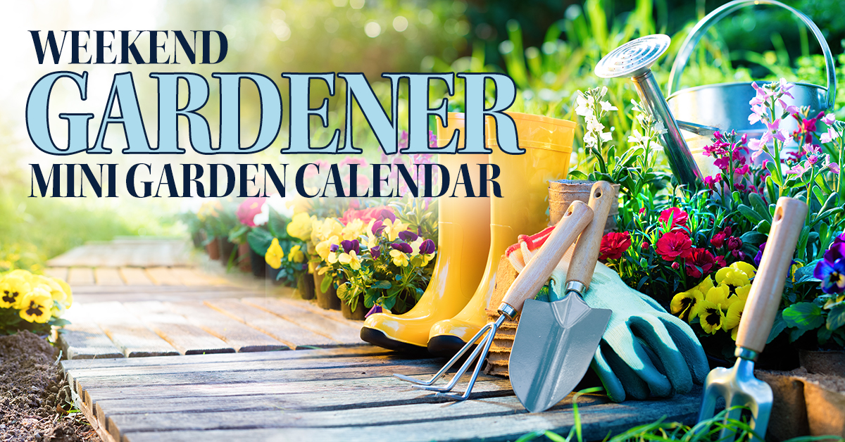 Weekend Gardener Mini Garden Calendar