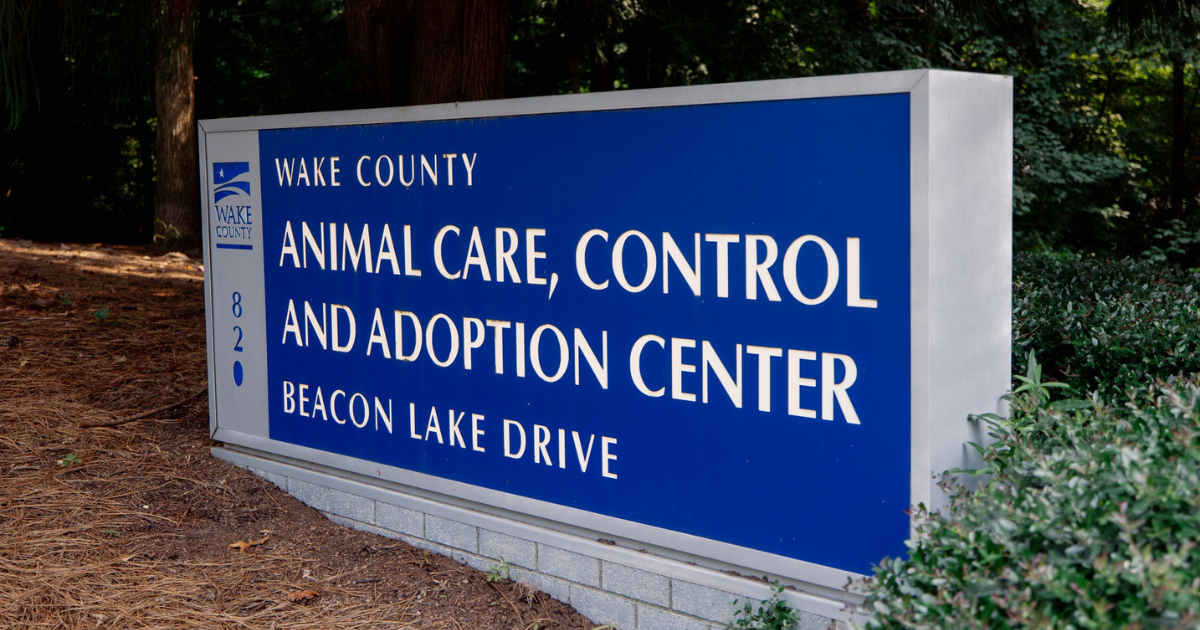 Wake County Animal Center to close temporarily due to dog influenza outbreak