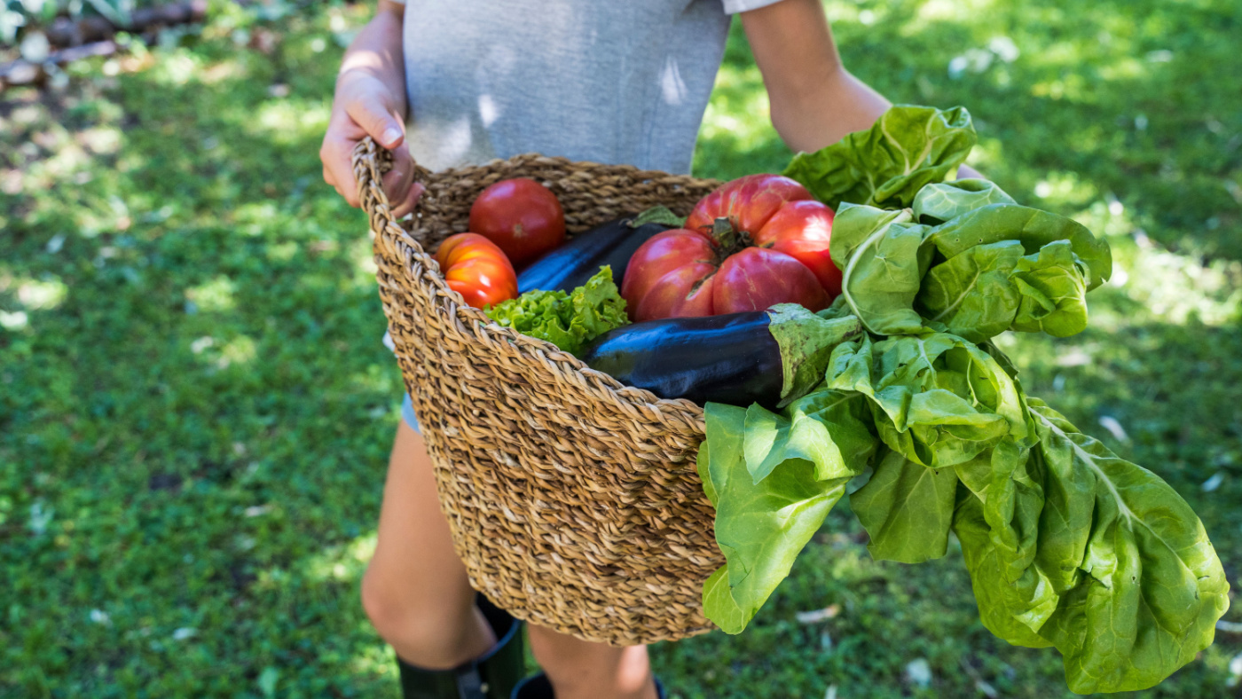 Carrboro Farmer’s Market and Market Bunch Kids activities