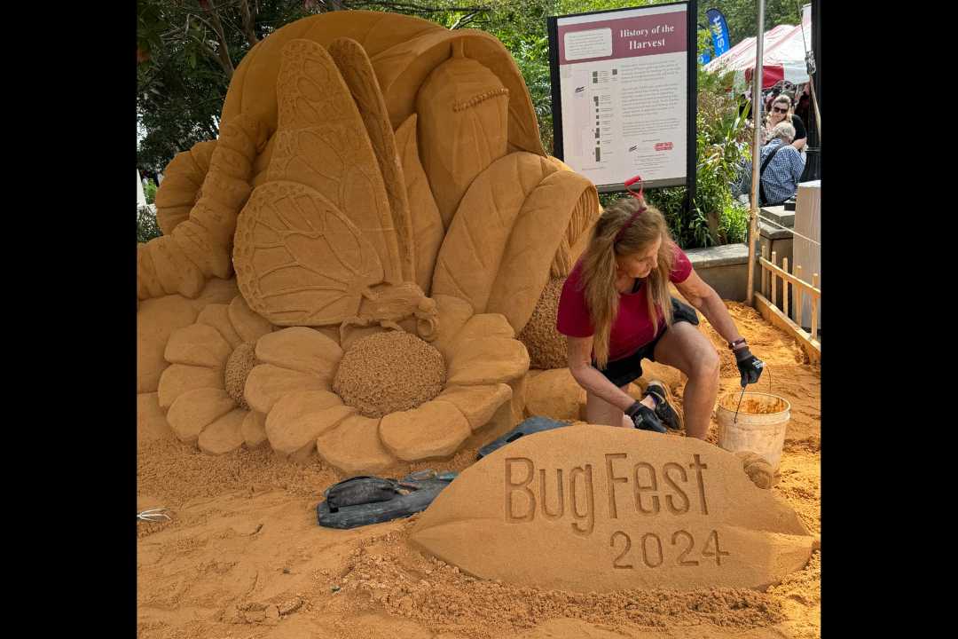 BugFest infests downtown Raleigh WPTFAM