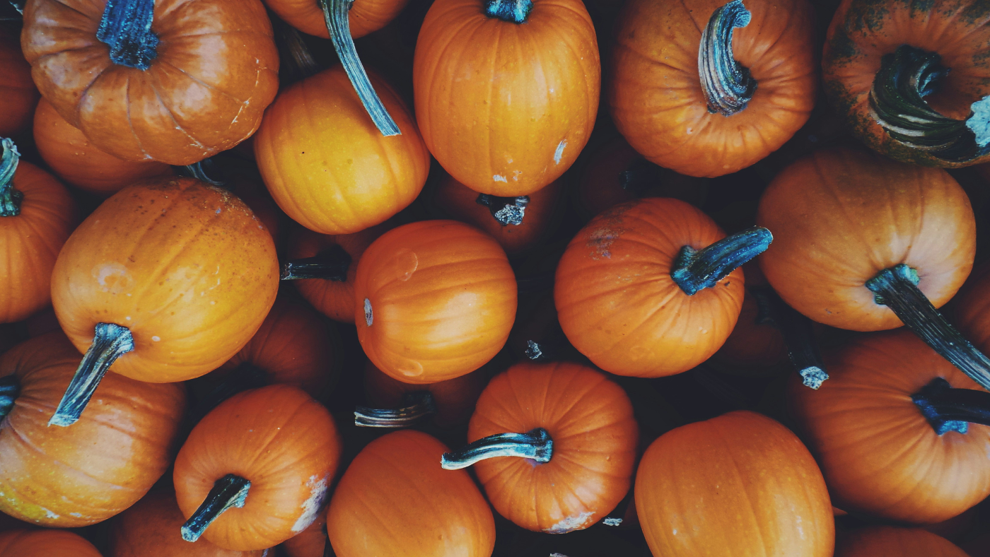 Pumpkin Flotilla At Bond Park