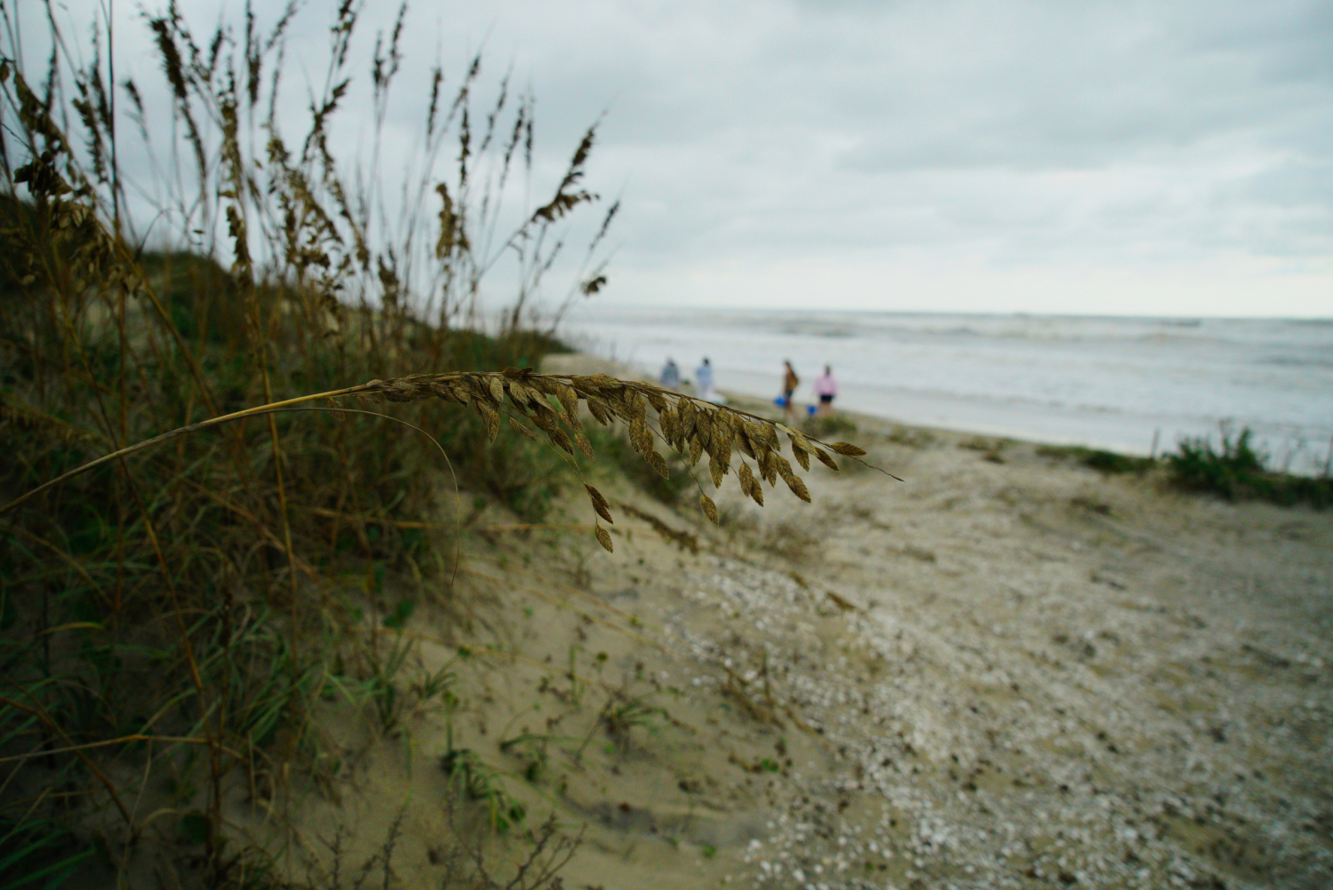 Hurricane Erin never hit land or caused major damage, but threatened turtle nests weren’t so lucky