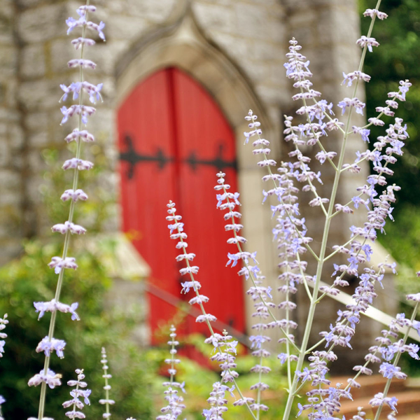 Tending God’s earth: a journey of faith through gardening