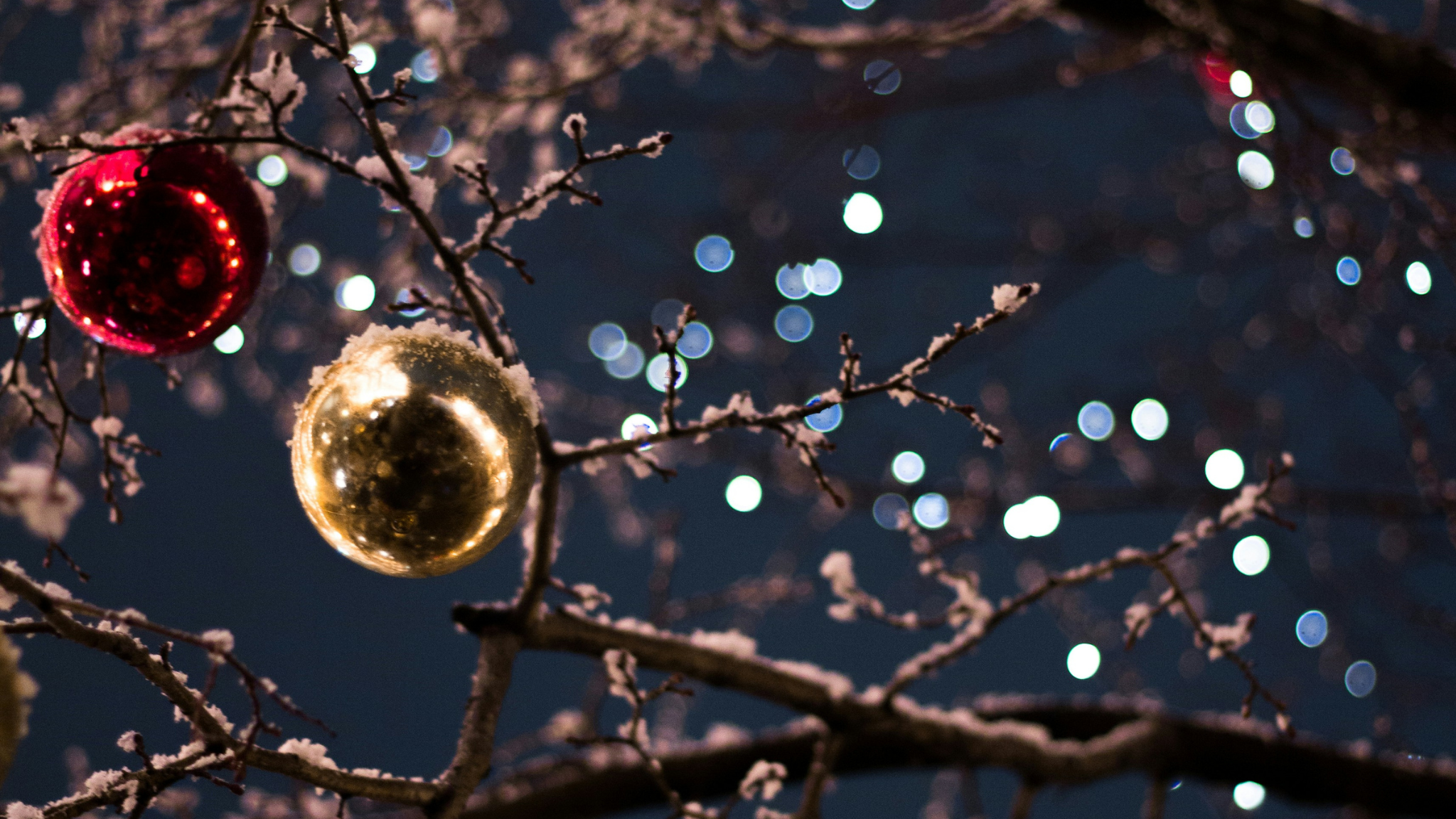 First Night Raleigh 2025