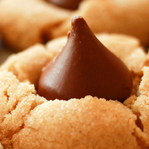 Chocolate Peanut Butter Cookies