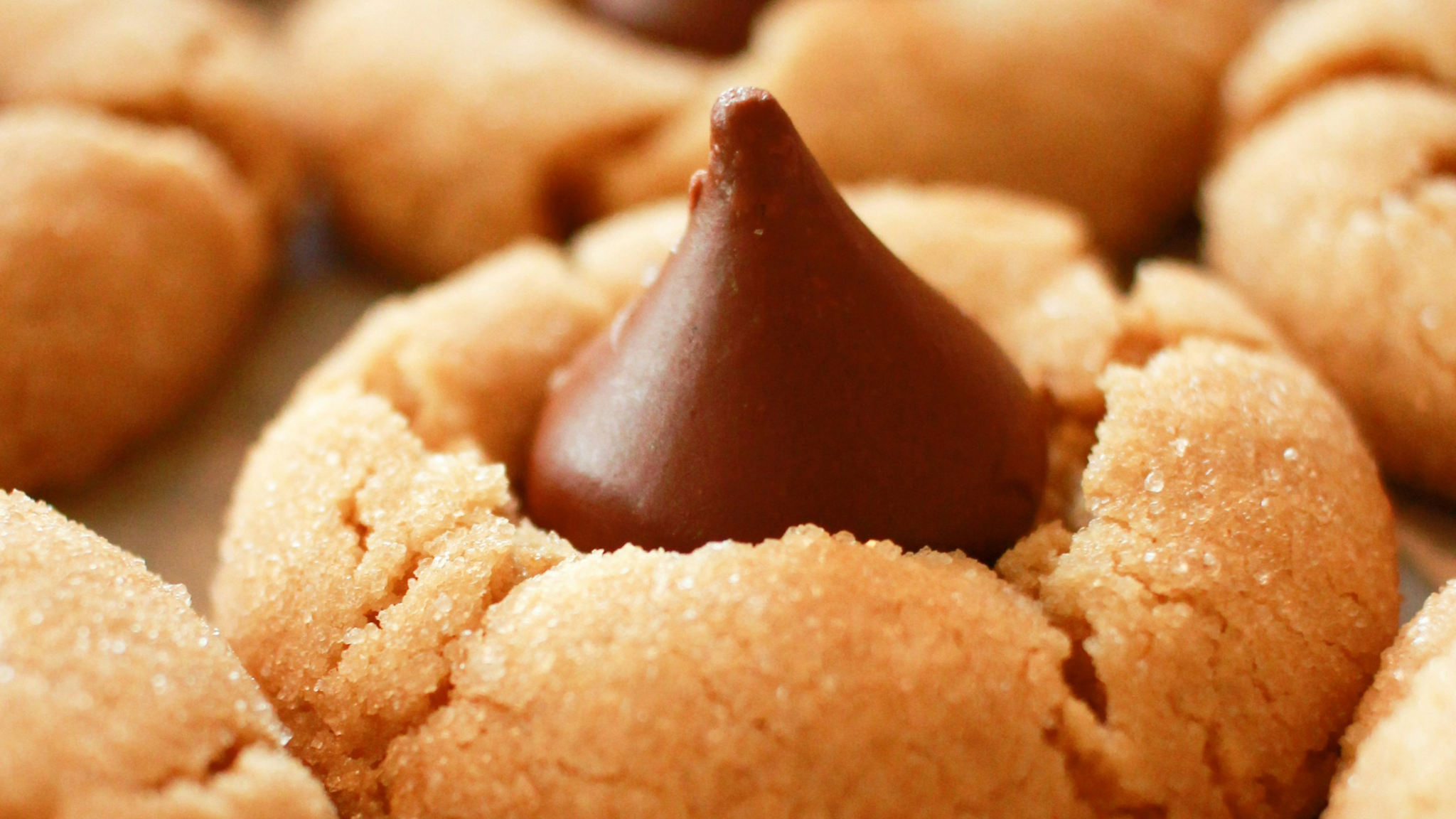 Chocolate Peanut Butter Cookies