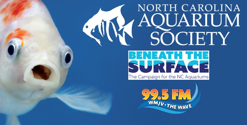 North Carolina Aquariums