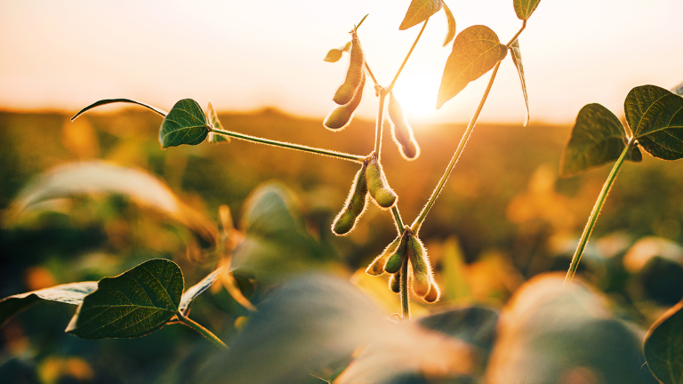 USB: Precision Farming Leads to Best Soy Outcomes