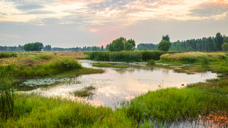 NCBA: New WOTUS Rule ‘Positive Development’