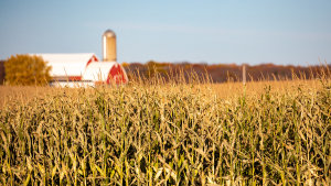 Wisconsin Corn to Host Trade Policy School