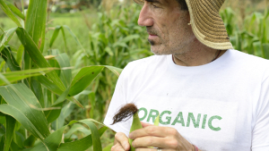 SCDA: Funding Available for Organic Certification