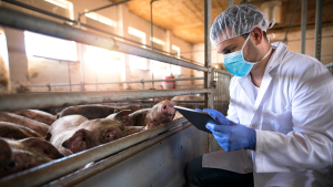 Rehearsing to Prevent Foreign Animal Disease Outbreaks