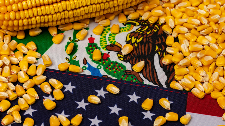 Ag Groups Support USTR in Mexican Trade Dispute