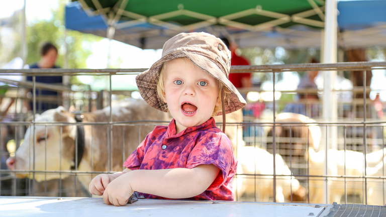 NC Commissioner Troxler: County Fair Time!