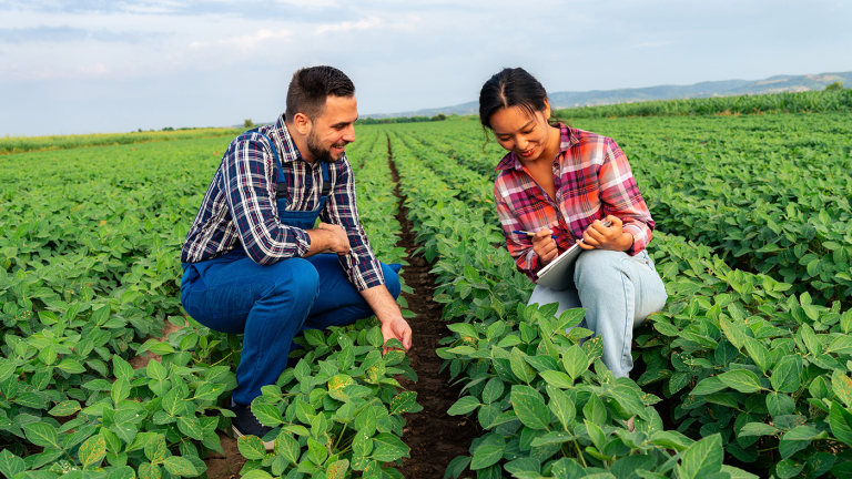 Pro Farmer Crop Tour Day 3 Recap: Iowa Crops a “No-Meat Sandwich”