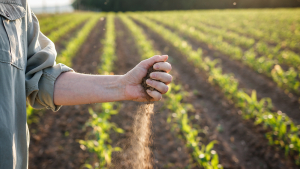 Expanding Drought in Midlands, Coastal Plains