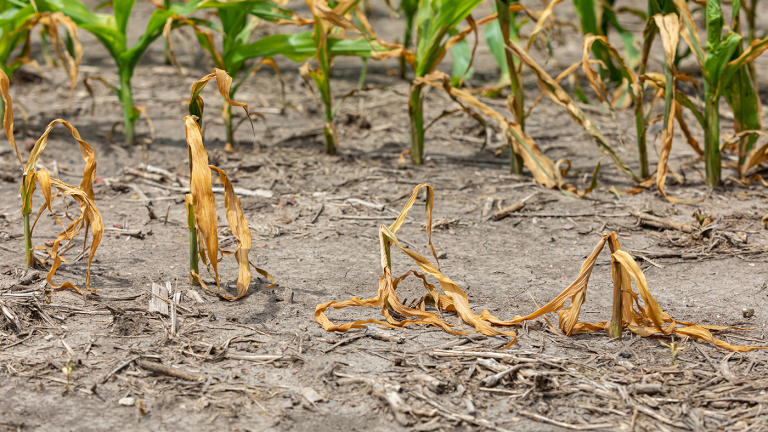 Weekly Drought Monitor Shows Spotty Improvement