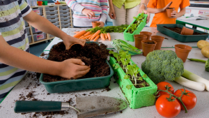 A Curriculum of Agricultural Literacy