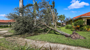 FEMA, Federal Partners Unite to Jumpstart Hurricane Idalia Recovery Efforts