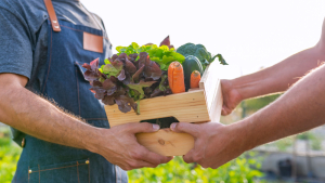 Urban Farming Continues to Grow