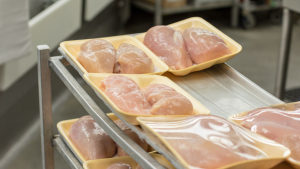 Combating Salmonella in Poultry