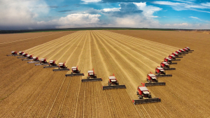 Commodity Markets Watching Harvest Progress and Export Numbers