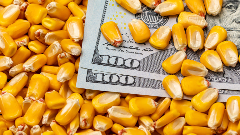 Corn Price Prospects Down with Bigger Crop on the Horizon