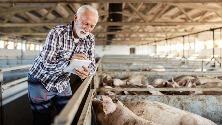 Pig Farmers, Industry Leaders Gather for US SHIP Delegates Meeting