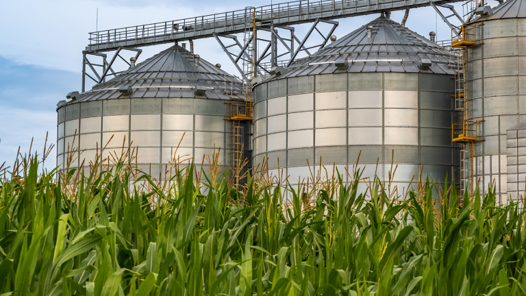 Incorporating Sustainability into the U.S. Grains Council