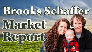 Brooks Schaffer Market Report for Friday August 9