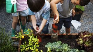 Carrboro Market Bunch Teaches Kids Where Food Comes From