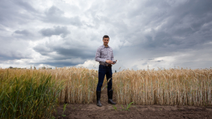 Scout Fields during Harvest for 2024 Decision Making