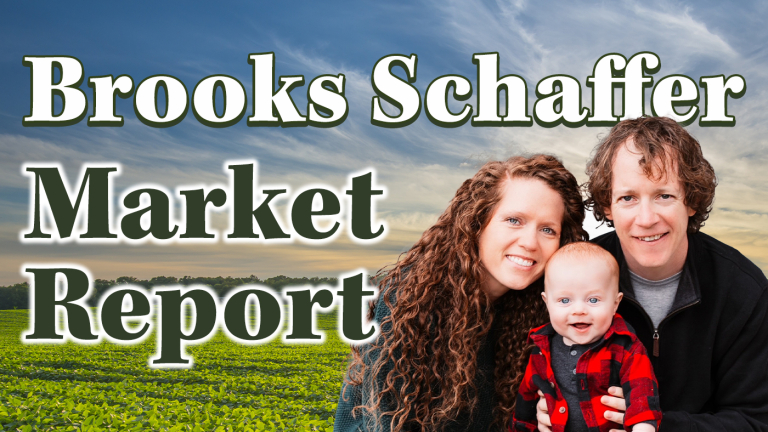 Brooks Schaffer Market Report for Friday August 25
