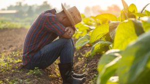 Raising Awareness of Stress Crisis in Farm Country