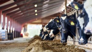 USDA Payments to Help Organic Dairy Producers