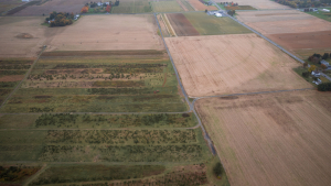 Farmland Sales Aren’t Slowing Down for Harvest