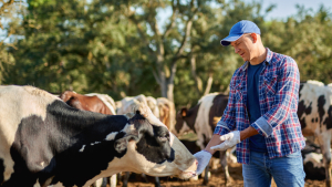 USDA Announces Funding for Dairy Innovation