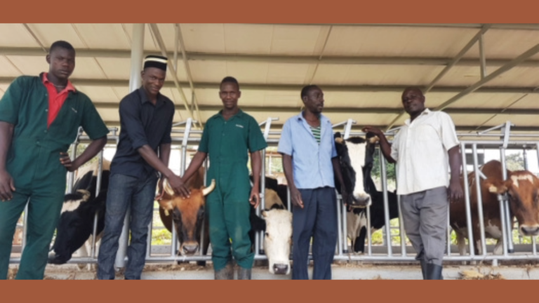 Uganda Dairy Representatives Attend World Dairy Expo