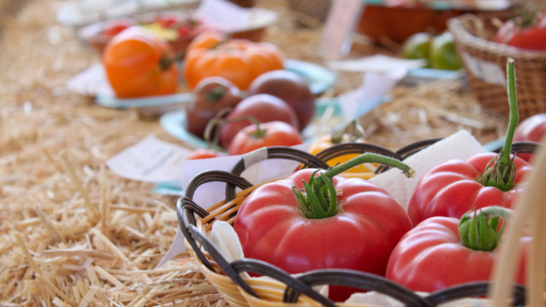 NC Commissioner Troxler: Agriculture at the NC State Fair