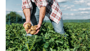 SC Commissioner Weathers: Project Victory Gardens