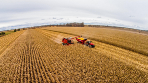 Rain, Cold, and Snow Slowing the Pace of Harvest in Northern U.S.