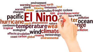 Winter Weather, El Nino, and Impacts on Ag