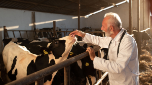 USDA Activates ELAP to Address H5N1 in Dairy Cows