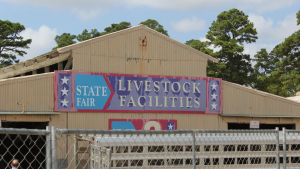 World Livestock Auctioneer Championship Tournament Continues