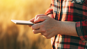 GROWERS Debuts Apps for Farmer-Retailer Communication