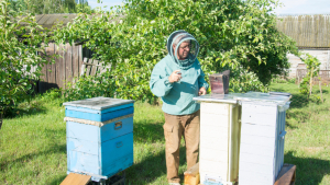 Beekeepers Prepping Their Hives for Winter