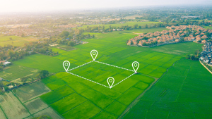 Farmland Market Stays Steady