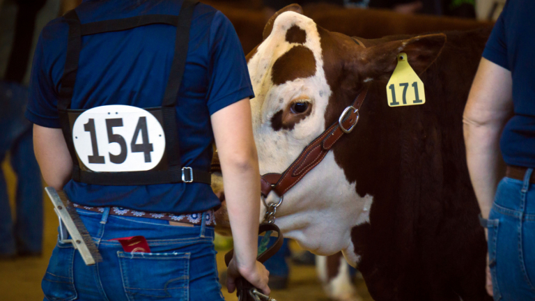 NC Commissioner Troxler: N.C. State Fair Junior Livestock Scholarships Available