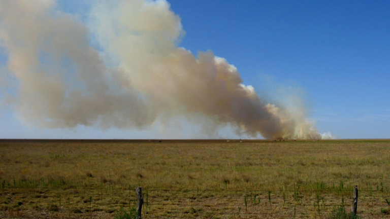 SC Commissioner Weathers: Texas Panhandle Wildfire Relief from SC